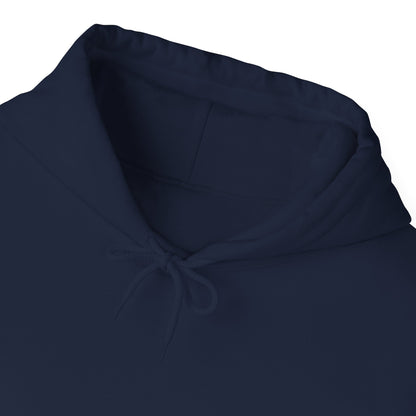 Stay Frosty Hooded Sweatshirt - Cozy Unisex Hoodie for Winter, Gift for Friends, Holiday Style, Casual Wear, Everyday Comfort